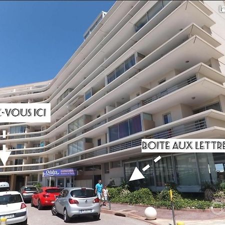 Appart Face A La Mer Les Pieds Dans L'Eau Canet-en-Roussillon Eksteriør billede