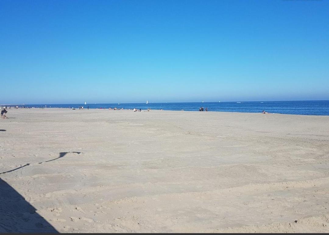 Appart Face A La Mer Les Pieds Dans L'Eau Canet-en-Roussillon Eksteriør billede